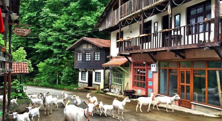  Ramazan Bayramı Özel Uçaklı Karadeniz Yaylaları ve Batum Turu