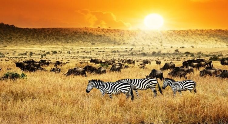 Elegant Güney Afrika Türk Hava Yolları İle 7 Gece