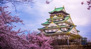 THY ile Grand Japonya Turu                                              Doğan Güneşin Ülkesi’ne yolculuk                                           AKTARMASIZ DİREKT UÇUŞ !!!