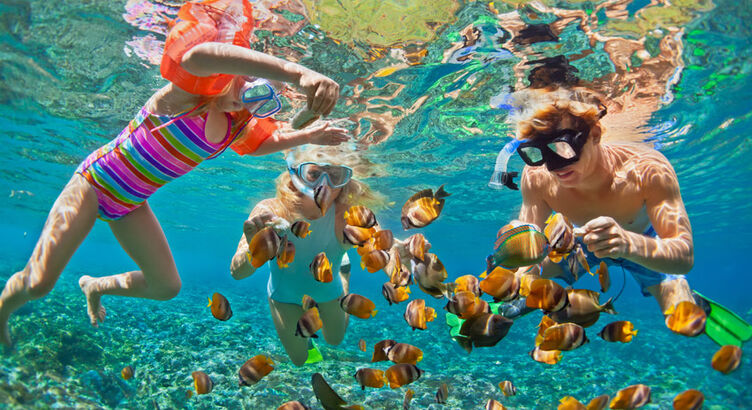 Phuket (Yaz & Kış Dönemi )