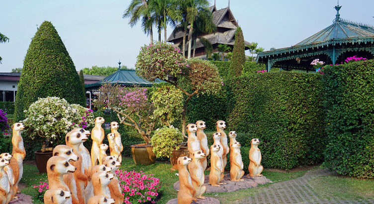 Phuket (Yaz & Kış Dönemi )